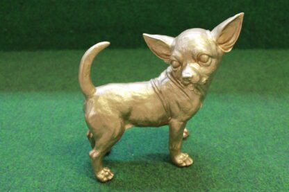 Gouden Chihuahua