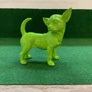 chihuahua groen deco decoratie uniek tuin goeree overflakkee