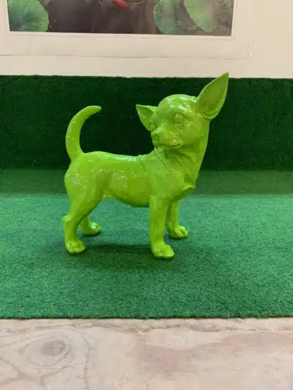 chihuahua groen deco decoratie uniek tuin goeree overflakkee